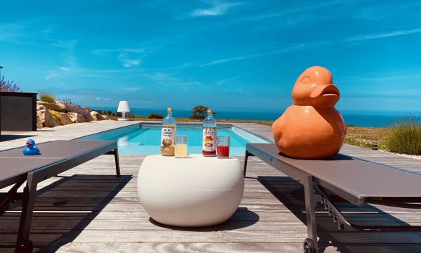 minard piscine coque sarlat dordogne modèle Sherry Lounge Beach XL grise SLB2 10